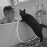 中々お風呂から戻らないパパ→心配した猫が……『まさかの行動』に感動する人続出「なんて優しさ」「心まで温まる」と16万再生突破