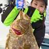 【船釣り釣果速報】落とし込み釣りで大型ヒラメにブリが好反応！（大分・熊本）