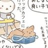 猫を被った犬