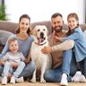 犬は『家族に順位付け』をしていなかった？愛犬が人によって態度を変える理由とは