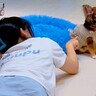 名前を呼んでもそっぽ向く犬→仲良くなれないかと思いきや、40分後…別犬かと思うほどの『態度の変化』が話題「ほっこり」「可愛すぎる」と反響