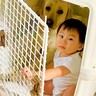 大型犬と赤ちゃんが『こっそり』やっていたこと…まさかの光景が可愛すぎると46万再生「相思相愛なふたり」「犬って本当に優しいな」と大絶賛