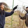 援農人材を育てる　ＪＡ神奈川つくいで講座