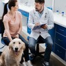 犬の飼い主と獣医療専門家、シニア犬の健康管理についての認識を調査　そこには大きなギャップがあった