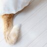 猫が『カーテンの裏』に隠れているときはどんなキモチ？考えられる5つの心理　お尻が出てても隠れているつもり？