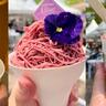 ライラックまつりグルメ！忖度なしの総力レポ「