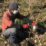 中井町の山で植樹体験