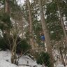 春日山の通年観光