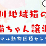 9/13(土)13:30～栄町にある『ウィズマル動物医療センター