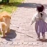 赤ちゃんの頃から大型犬たちと一緒に育ってきた女の子…涙が出るほど尊い『6年間の軌跡』が5万再生　絆感じる数々の光景に思わず感動