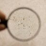 「見逃してた…」「カビがすごい」湿気がこもりやすい家の中の“隠れカビ”スポット3つ