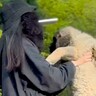 大型犬の赤ちゃんを抱っこして撮影→数年後『全く同じ撮り方』をしてみた結果…「撮り方が天才」「面白すぎるｗｗ」まさかの光景が話題に