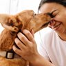 犬が『大好きな人』にだけみせる仕草や行動5選　見逃したくない愛犬からの大好きサインとは？