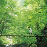 夏におすすめ！新潟・涼しい避暑スポット18選