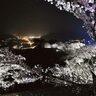 【朝来】竹田城跡で夜桜のライトアップを実施♪城跡と桜のコラボレーションを楽しんで