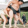 新横浜公園に相撲場完成　照ノ富士親方が市に寄贈