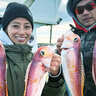高級魚アマダイを狙いの船釣りに挑戦【神奈川・相模湾】流用タックルでアカアマダイ＆シロアマダイ好捕