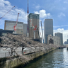 大崎・五反田駅の中間エリアに「大崎リバーウォークガーデン」が誕生。市街地再開発の全体像を解説
