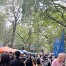 下鴨神社で開催！左京からつながる終わらないお祭り『左京ワンダーランド』