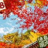 【2024年最新版】徳島の紅葉スポットまとめ