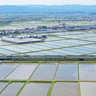 初夏の青空うつす水鏡　米どころ伊賀地域の田園風景