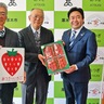 「厚木いちご」をＰＲ　オリジナル箱も作成