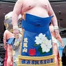悲願の十両復帰で奮闘