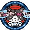 都筑に『猫ひた』上陸　６月２日から特集　ボッシュホールやビーコルを紹介