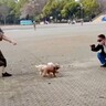 公園でおじいちゃんと待ち合わせ→７ヶ月ぶりの再会で犬が…発見した瞬間の『尊い光景』に「嬉しいが溢れてる」「なんか泣けた」と感動の声