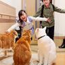 猫が『5日ぶりに帰宅した子供』と再会したら…感動的すぎる『おかえり』の様子が7万8000再生「家族っていいね」「きゅんきゅんした」