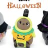 ペットロボット「LOVOT」（らぼっと）向けの『ハロウィンウェア』が登場。神戸阪急店などで販売