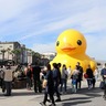 【大阪】高さ9.5mの「ラバー・ダック」が北加賀屋で8日間展示！限定アイテムも見逃せない♡