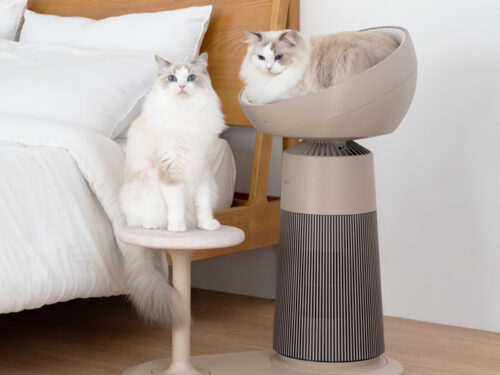 猫オーナー向け空気清浄機「LG PuriCare™ AeroCatTower」、3月26