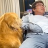 父が大型犬を『しつけの為に叱った』結果…想定外な『まさかの結末』が面白すぎると204万再生「ダメダメで草」「ごめんねってしてるｗ」