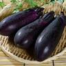 お箸がどんどん進みます……。ほぼ「ナス」だけでできる超ウマい食べ方