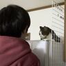 息子がくつろいでいる猫に『ちょっかい』をかけた結果…思わず爆笑のやり取りが2万6000再生「マジでおもろいｗ」「本気で笑った」の声