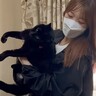 駄々をこねる猫たちをケージに詰めたら…『ささやかな抵抗』をみせる姿が可愛すぎると7万再生「猫詰め放題」「みんなイヤイヤモードだ」