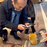 両親に内緒で『子犬をお迎えした』結果…まさかのサプライズで『父がパニックになる様子』が微笑ましいと708万再生「完全に孫を見る目ｗ」