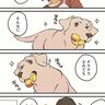 「吉田くんのチラ見せ」連載漫画【暮瀬姉弟と吉田くん】