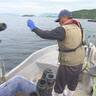 【なぜ？】名物なのに……宮島でアナゴがとれない｜地球派宣言