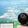 【無料】子連れおすすめポイント3選も！「地味？」なんてとんでもない！アクセス良好で自然も満喫の充実スポットを獣医師ママライターが解説｜北海道・札幌市「豊平川さけ科学館」