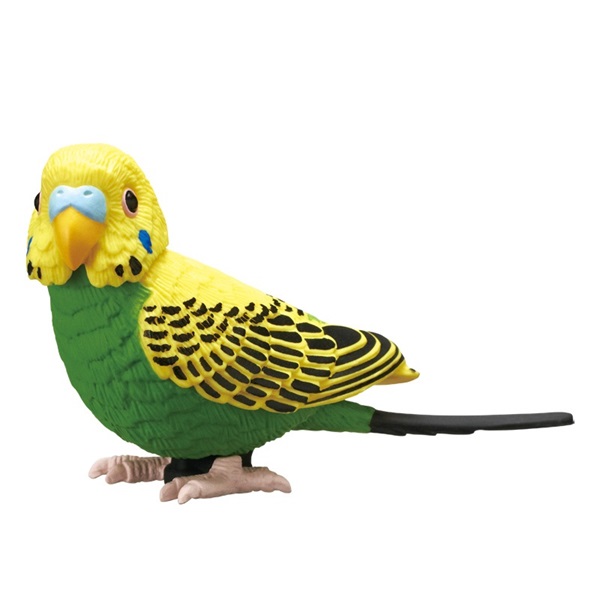 カプセルトイ「インコ 可動＆マグネット」発売！BIGサイズで頭も
