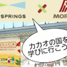 クイズに答えてチョコレートアイスを貰っちゃおう！グリーンスプリングスで9月1日(日)に１日限りの「1チョコ