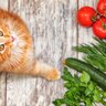 猫には危険すぎる『与えてはいけない野菜』4選　定番の玉ねぎ以外には何が？そもそも野菜は必要？
