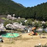 奈良県でお花見！桜と絶景、奈良盆地一望の緑豊かな公園【葛城山麓公園｜葛城市】