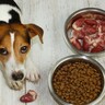 ドイツの犬の飼い主に「生肉食を止めた理由」をアンケート調査　理由の多くは"胃腸の問題"