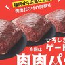 【3/19～23】約20店舗が集合する肉祭り！ひろしまゲートパークで「第37回肉肉パーク」開催