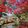 太鼓橋×池×紅葉のコラボは圧巻『白毫寺（びゃくごうじ）』の紅葉が11月上旬より見ごろに