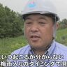 大雨に備え