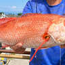 富山湾で「56cm・2.2kg」超大型アカムツ浮上！【強神丸】ゲストに11kgアンコウも
